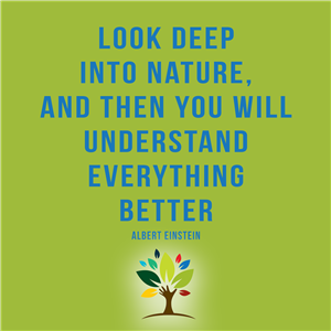 nature quote 